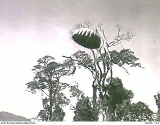 THE SOLOMON ISLANDS, 1945-05. SUPPLIES BY PARACHUTE DROPPING THROUGH THE TREE TOPS FOR AN AUSTRALIAN ARMY CAMP AT NORTH BOUGAINVILLE. (RNZAF OFFICIAL PHOTOGRAPH.)