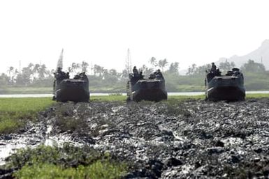 Three US Marine Corps (USMC) Amphibious Assault Vehicles (AAV7A1) from Combat Assault Company tear across the Nu'upia ponds creating habitats for local birds aboard Marine Corps Base (MCB) Hawaii (HI)