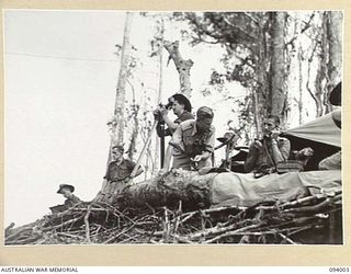 WEWAK AREA, NEW GUINEA, 1945-07-14. LT-COL W.S. HOWDEN, COMMANDING OFFICER 2/8 INFANTRY BATTALION (5), AT THE PHONE LEARNING THAT A COMPANY HAS GAINED THE RIDGE, THE FIRST OBJECTIVE ON THE WAY TO ..