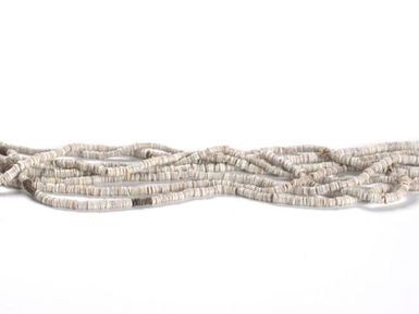 Shell Money