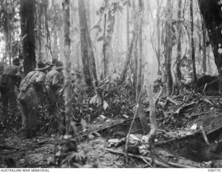 SALAMAUA AREA, NEW GUINEA. 1943-07-24. TROOPS OF THE 2/5TH BATTALION MOVING INTO ACTION IN THE MOUNT TAMBU AREA. SHOWN IS: NX96405 PRIVATE R. CONNOLLY (1)