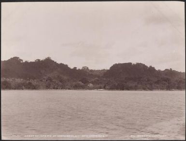 The coast of Maewo, New Hebrides, 1906 / J.W. Beattie