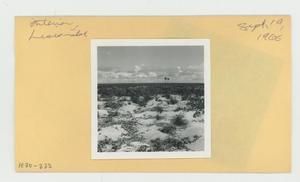 [Interior view in Hawaii, envelope IE30-233]