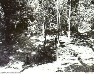 NEW BRITAIN, 1945-09. ALLIED BOMB DAMAGE TO A JAPANESE POSITION IN THE RABAUL AREA. (RNZAF OFFICIAL PHOTOGRAPH.)