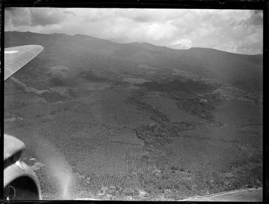 Aerial view of [palm tree?] plantations from the beach front stretching inland with forested mountains beyond, Apia, Western Samoa