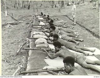 1943-06-15. NEW GUINEA. NATIVES AT A RIFLE RANGE AT A PAPUAN INFANTRY UNIT CAMP PRACTISE WITH RIFLES. (NEGATIVE BY N. BROWN)
