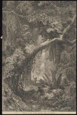 Natives of New Guinea shooting birds of paradise / F.A. Sleap; J.W.C