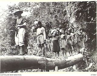 1943-08-10. NEW GUINEA. MOUNT TAMBU FIGHTING. WARRANT OFFICER E. BRITTEN, OF NEW GUINEA, LEADING A LINE OF FUZZY-WUZZIES CARRYING AMMUNITION AND FOOD ON THE WAY TO MOUNT TAMBU. U.S. TROOPS PROVIDED ..