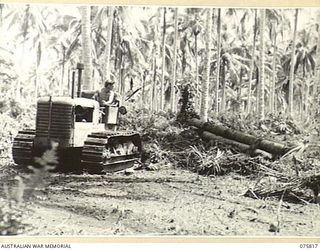 SIAR, NEW GUINEA. 1944-09-11. VX135480 CRAFTSMAN T. COOK USING A TRACTOR TO CLEAR AWAY THE JUNGLE UNDERGROWTH FOR THE NEW CAMP SITE FOR THE 113TH BRIGADE WORKSHOP