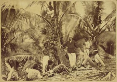 Colonel Gally at St. Louis, New Caledonia / Allan Hughan