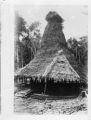 Papua New Guinea, thatched roof hut at Upoia
