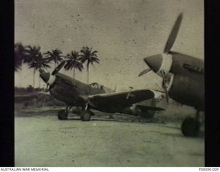 SOUTH PACIFIC, 1945. TWO CURTISS KITTYHAWK FIGHTER AIRCRAFT ON A RUNWAY. (DONOR: A.THOMAS)