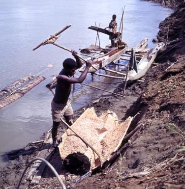 Workers crushing and washing sago palms, Yuat River, East Sepik Province, Papua New Guinea, approximately 1968 / Robin Smith