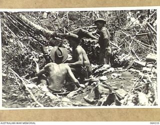 SHAGGY RIDGE, NEW GUINEA. 1944-01-22. A TRENCH MORTAR DETACHMENT OF THE 2/9TH INFANTRY BATTALION IN ACTION DURING A THREE PRONGED ATTACK ON SHAGGY RIDGE BY THE 2/9TH INFANTRY BATTALION, THE 2/10TH ..