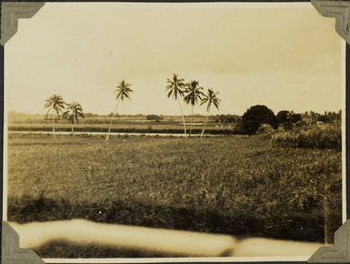 In the Canal, 1928