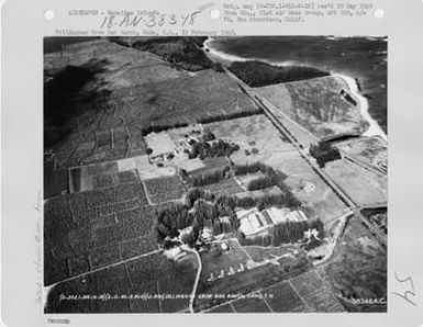 Hawaii - Miscellaneous