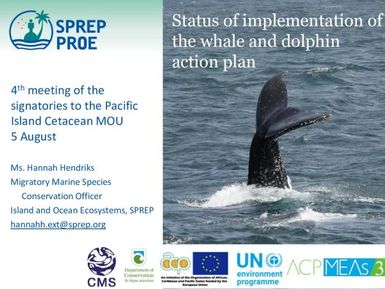 Status of implementation of the whale and dolphin action plan