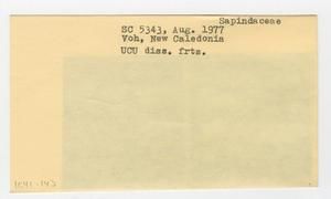 [Sapindaceae in New Caledonia, envelope IE41-143]