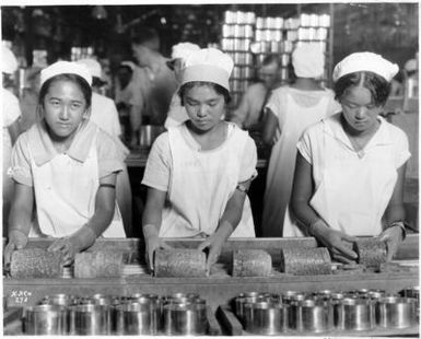 Food-Hawaii-Canning. Native girls packing pineapple into cans.