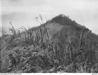 SHAGGY RIDGE, NEW GUINEA. 1943-12-27. TROOPS OF THE 2/16TH AUSTRALIAN INFANTRY BATTALION, 21ST AUSTRALIAN INFANTRY BRIGADE DIGGING IN AND CONSOLIDATING THEIR NEW POSITIONS ON THE "PIMPLE" AFTER ..