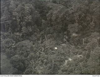 NEW GUINEA. C. 1944. AERIAL VIEW OF JUNGLE COUNTRY