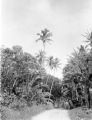 Avarua (Cook Islands), people on dirt road