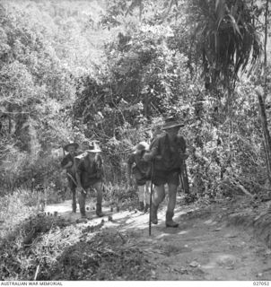 PAPUA, NEW GUINEA. 1942-10. MEMBERS OF THE 2/1ST, 2/2ND AND 2/3RD AUSTRALIAN INFANTRY BATTALIONS COMPRISING THE 16TH AUSTRALIAN INFANTRY BRIGADE MOVING UP ALONG THE TRACK ACROSS THE OWEN STANLEY ..