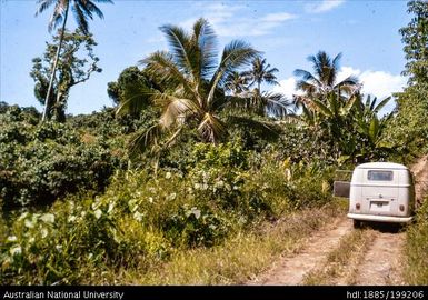 Volkswagen, Onesua