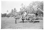 Man and two boys on horse and cart