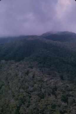 [Aerial view of a forested mountain in Lihue, Hawaii]