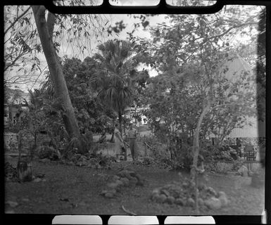 Two unidentified people in a park or garden, Ba, Fiji