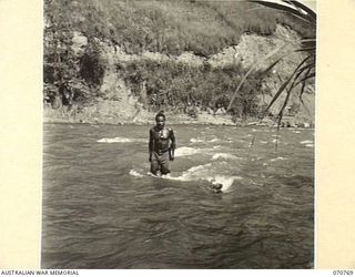 WAMPIT, NEW GUINEA, 1944-03-01. A NATIVE POLICE BOY AND HIS DOG FORDING A SWIFTLY FLOWING RIVER AT WAMPIT AN OPERATIONAL AREA OF HEADQUARTERS, COMMANDER ROYAL ENGINEERS (A.I.F.)