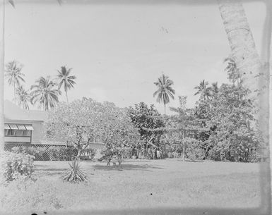 [Three young Polynesian children]