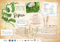 9. Poster Remu (tahitien)