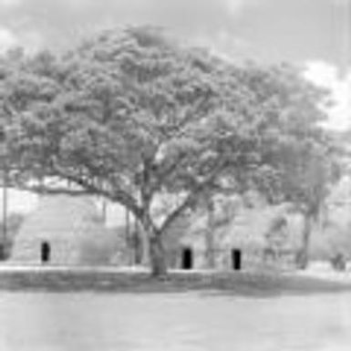 United States, Ulu Mau village site in Honolulu