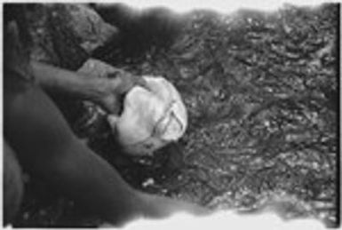 Food preparation: pig meat being washed in a stream