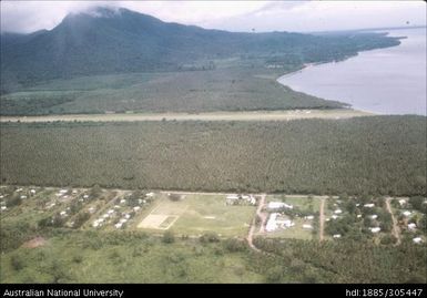 Copra plantation near Talasea, West New Britain