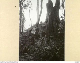 NEW GUINEA. APRIL, 1944. THATCHED HUTS WHICH WERE USED BY AUSTRALIAN TROOPS SITUATED APPROXIMATELY 500 YARDS FROM THE TOP OF SHAGGY RIDGE