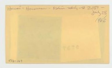[Kokia rockii in Hawaii, envelope IE26-169]
