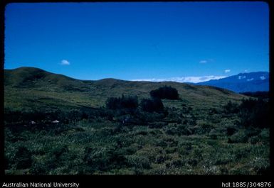 Ridge between Notofana and Gahuku