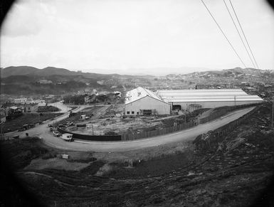 Winter Show Buildings, John Street, Wellington