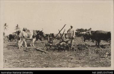 Lautoka Indian Agricultural Show