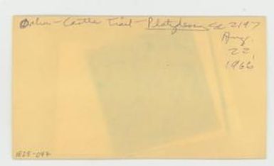 [Platydesma in Hawaii, envelope IE28-047]
