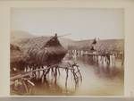 Unidentified village, built over water, New Guinea, n.d