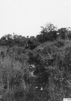 landscape, forest, path, grass, huts, watercourses, sanction land, trees, nature, village, photography, landskap ph