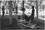 Ambaiat: Dagabun and Granjumba butcher pig killed for damaging garden, others watch