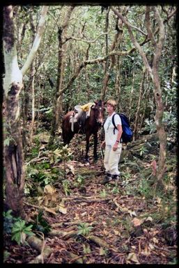 Team member with pack-horse