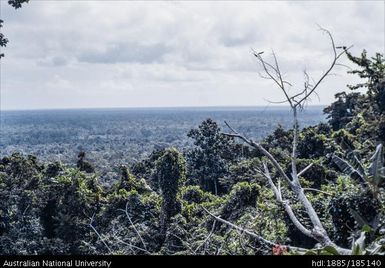 Kulumadau: View of forested coastal flats towards sea