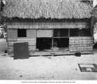 Native hut showing woman weaving inside, Rongerik Atoll, 1947