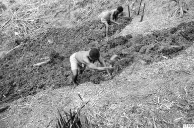 shovel, peasants, grips, men, cultivation, rides, grass, business, photography,